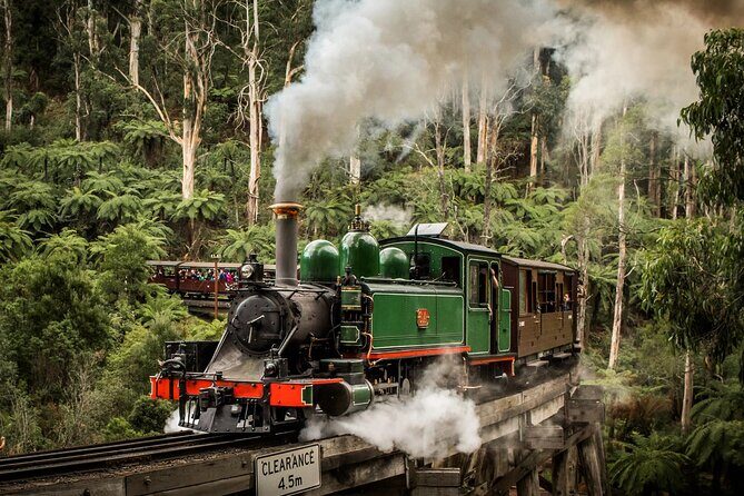 Melbourne Puffing Billy Penguin wine choc(16 max) Hotel Pick Up - What this Tour Offers: A Deep Dive