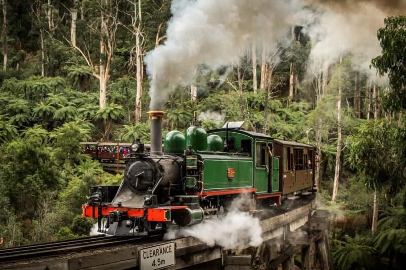 Melbourne Puffing Billy Penguin Yarra Valley Wine choc Tour - Key Points