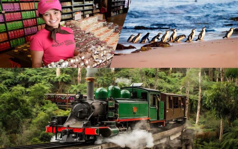Melbourne Puffing Billy Penguin Yarra Valley Wine choc Tour - The Itinerary Breakdown: What You’ll Actually Do