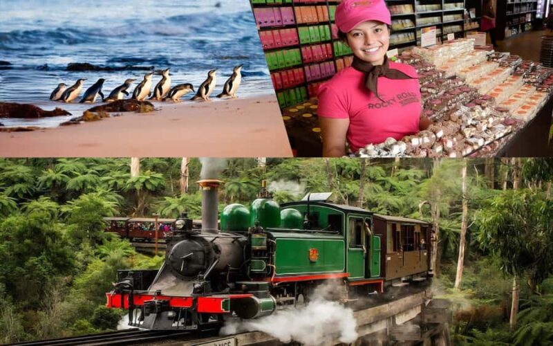 Melbourne Puffing Billy Penguin Yarra Valley Wine choc Tour - Price vs. Value
