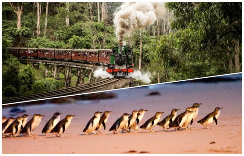 Melbourne: Puffing Billy Railway & Penguin Parade Day Tour - Practical Considerations and Tips