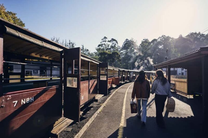 Melbourne: Puffing Billy Railway & Rainforest Tour - Key Points