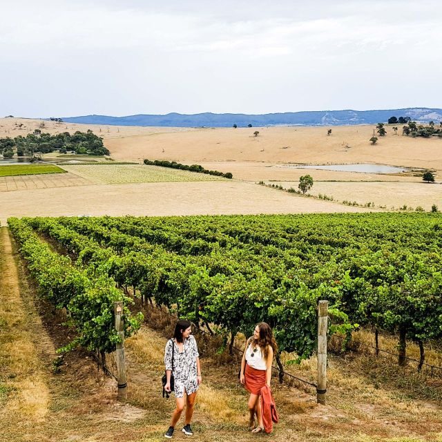 Melbourne: Relaxed Half-Day Yarra Valley Wine Tour - Final Thoughts: Who Would Love This Tour?