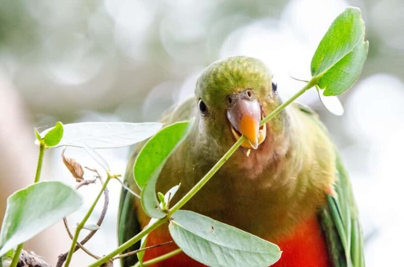 Melbourne: Reverse Great Ocean Road 12 Apostles with Lunch - Final Thoughts