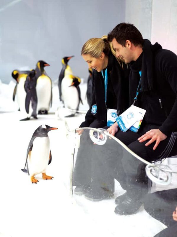 Melbourne: SEA LIFE Aquarium Entrance Ticket - The Value for Money