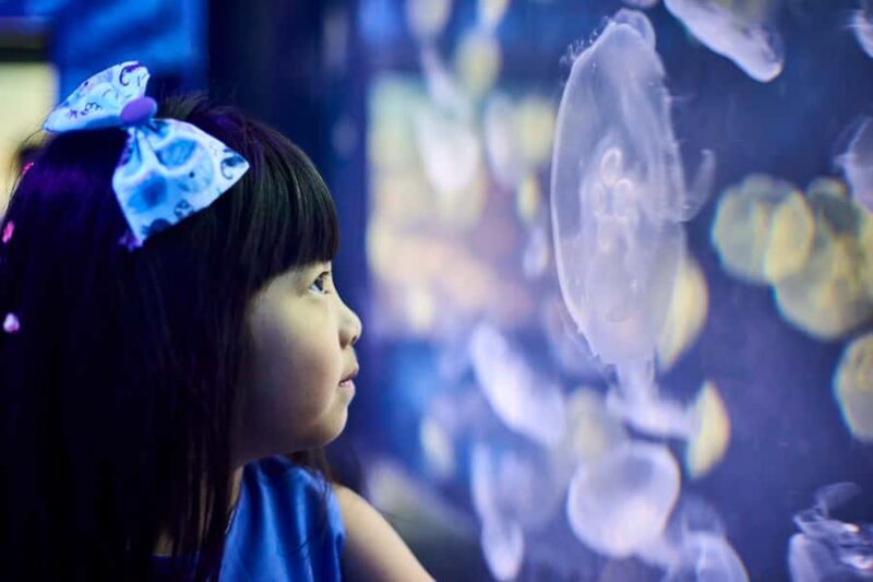 Melbourne: SEA LIFE Aquarium Entrance Ticket - Is It Family-Friendly?