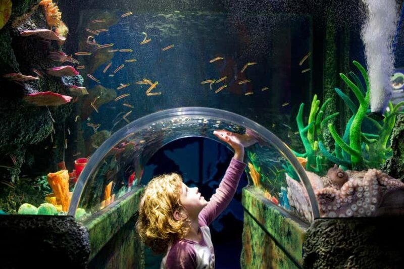 Melbourne: SEA LIFE Aquarium Entrance Ticket - Who Will Get the Most Out of This Experience?