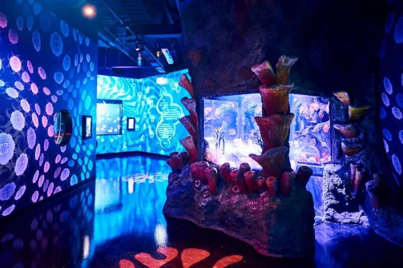 Melbourne: SEA LIFE Aquarium Entrance Ticket - Final Thoughts