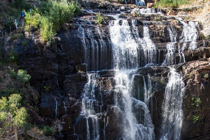 Melbourne to Adelaide 3-Day Great Ocean Road & Grampians Tour - The Value Proposition