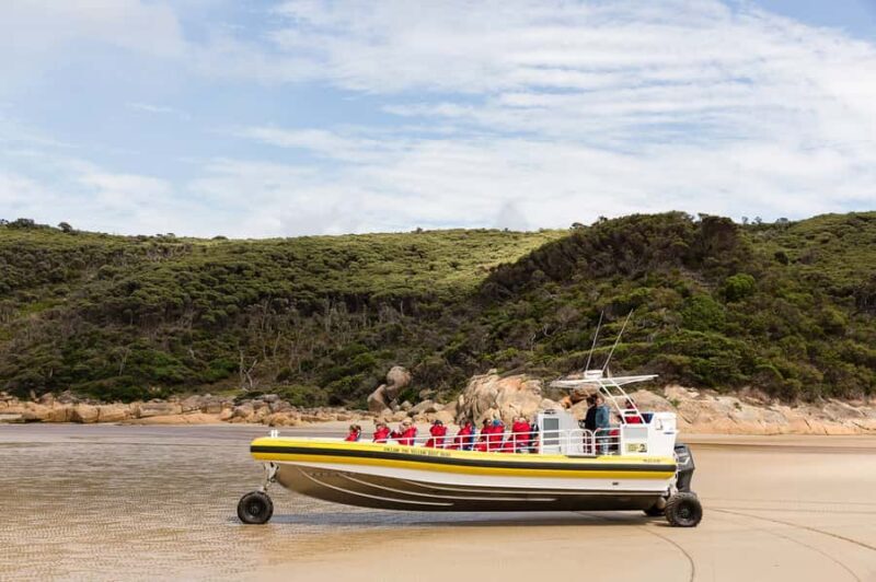 Melbourne: Wilsons Promontory Morning Wilderness Cruise - The Experience in Detail