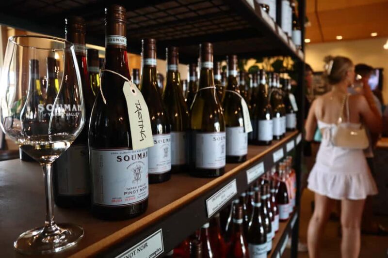 Melbourne: Yarra Valley Half-Day Wine Tour - Experience and Atmosphere