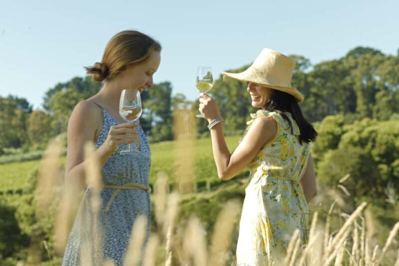 Melbourne: Yarra Valley Wine Bubbles & Kangaroos Tour - What to Expect from the Yarra Valley Wine Bubbles & Kangaroos Tour