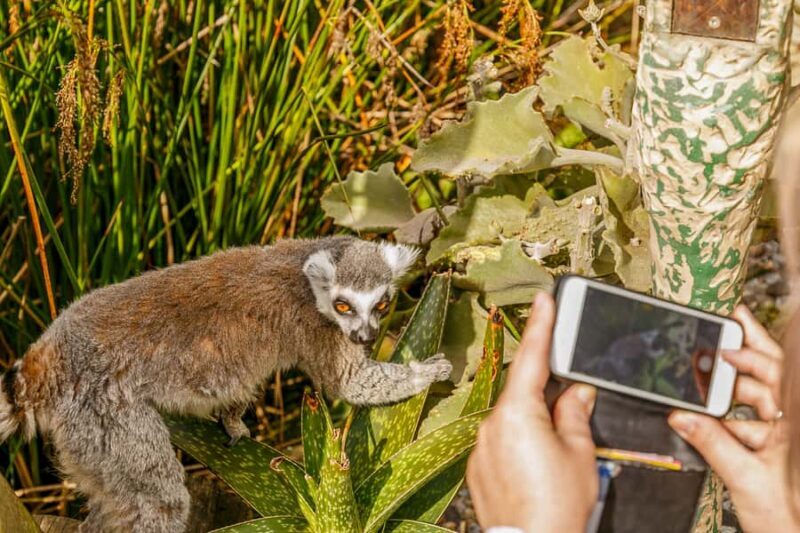 Melbourne Zoo: 1-Day Entry Ticket - The Experience for Different Visitors