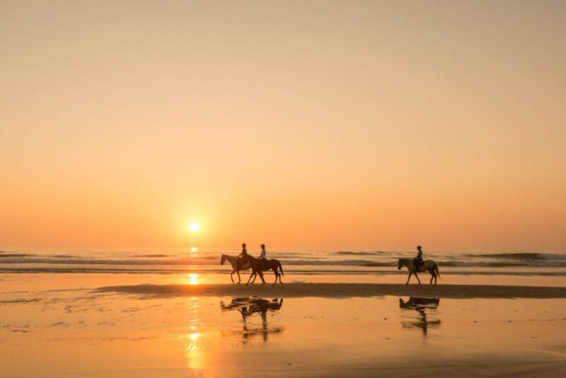 Melides: Horse Riding on the Beach with Wine Tasting - Key Points