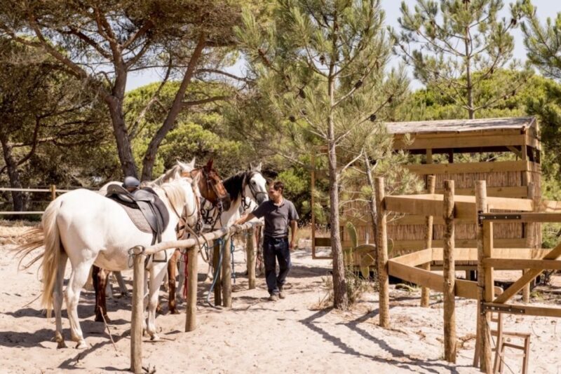 Melides: Horse Riding on the Beach with Wine Tasting - An In-Depth Look at the Melides Horseback Riding Tour