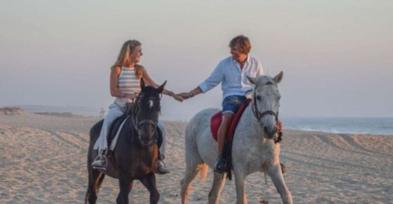 Melides: Horseback Riding on Melides Beach - What to Expect on Your Horseback Riding Adventure