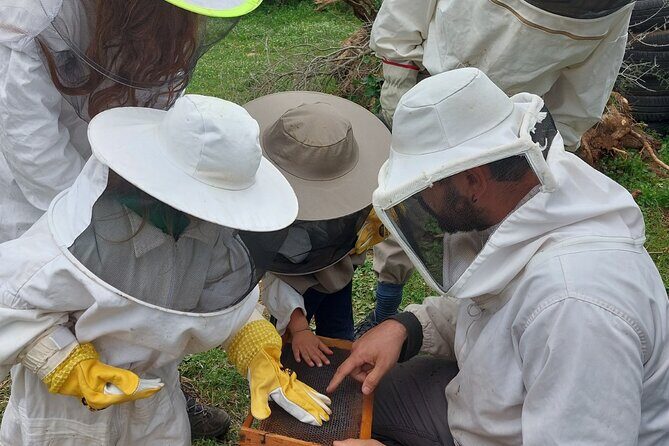 Melissini Beekeeping Experience - Who Should Consider This Tour?
