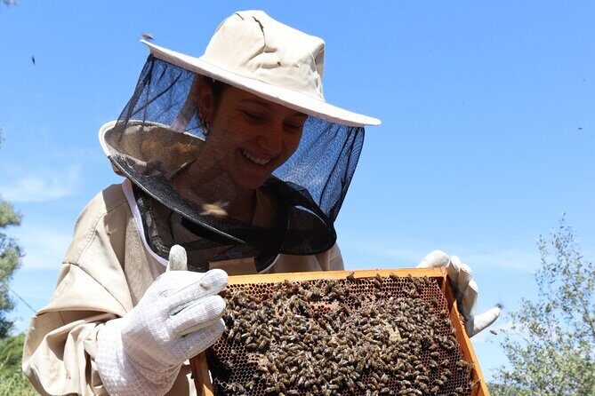 Melissini Beekeeping Experience - Final Thoughts: Is It Worth It?