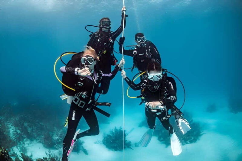 Mellieha: Introductory Diving Session in the Open Sea - What to Expect from Your Mellieha Introductory Dive