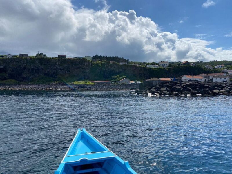 Memória Baleeira - Unforgetable Ride in the waters of Pico - Who Should Consider This Tour?