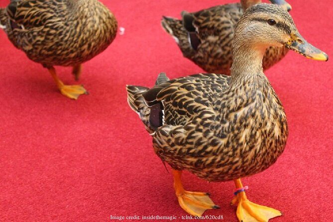 Memphis 3.5h Walking Tour with Beale Street & Sun Studio - Exploring Memphis in 3.5 Hours