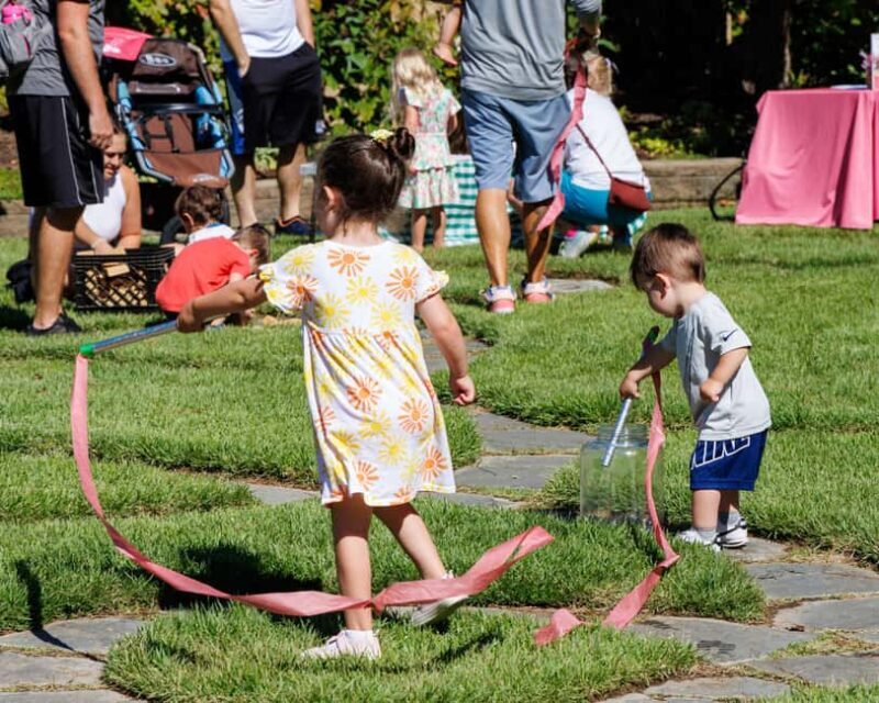 Memphis Botanic Garden Entry Ticket - Key Points