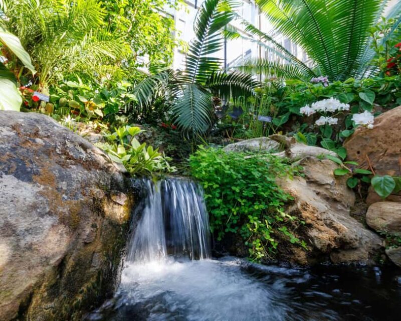 Memphis Botanic Garden Entry Ticket - Highlights That Make This Garden Special