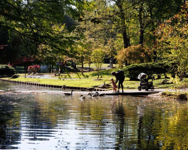 Memphis Botanic Garden Entry Ticket - A Closer Look at the Experience
