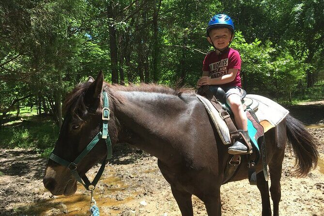 Memphis Horseback Trail Ride Tour - What to Expect on Your Memphis Horseback Trail Ride