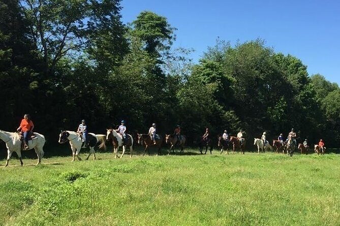 Memphis Horseback Trail Ride Tour - FAQ About Memphis Horseback Trail Ride