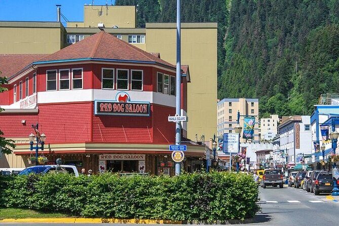 Mendenhall Glacier Trolley Tour - What to Expect from the Mendenhall Glacier Trolley Tour