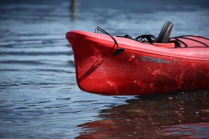 Mendenhall Glacier View Sea Kayaking - What You Can Expect on the Tour