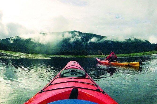 Mendenhall Glacier View Sea Kayaking - Who Will Love This Tour?