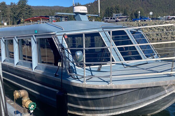 Mendenhall Glacier Waterfall and Whale Watching Tour - Who Should Consider This Tour?