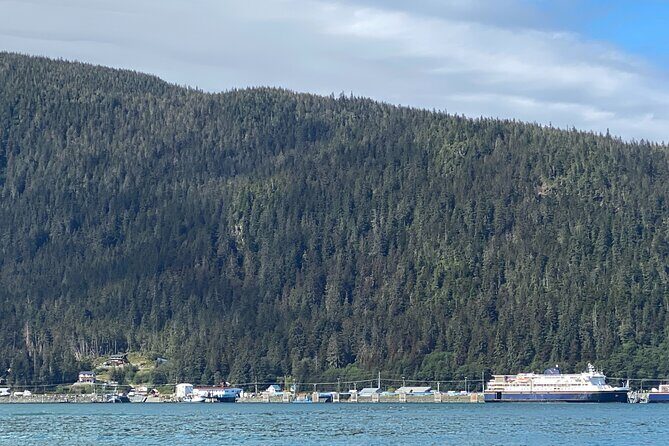 Mendenhall Glacier Waterfall and Whale Watching Tour - Final Thoughts