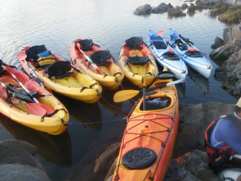 Menorca: Half-Day Kayak Excursion in Fornells - The Paddling and Overall Experience