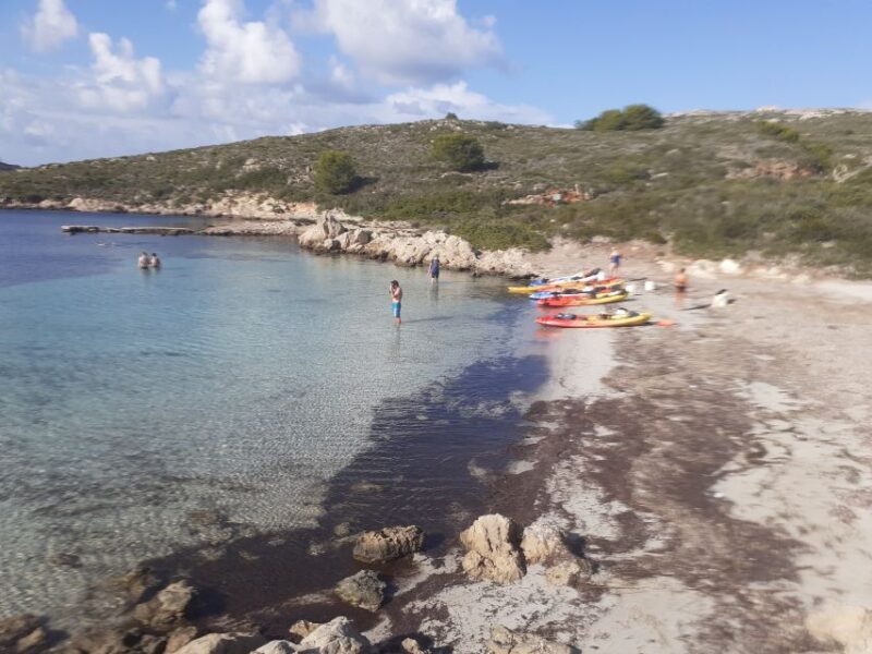Menorca: Half-Day Kayak Excursion in Fornells - Who Should Consider This Tour?