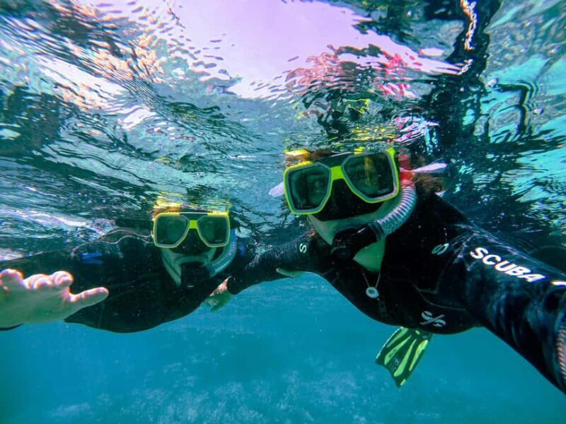 Menorca: Snorkel Tour with a Marine Biologist on South Coast - What Is This Snorkel Tour All About?