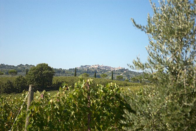 Menu with a View in the enchantment of the Tuscan hills - Key Points