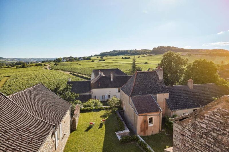 Mercurey: Château de Chamirey and a tasting - Key Points