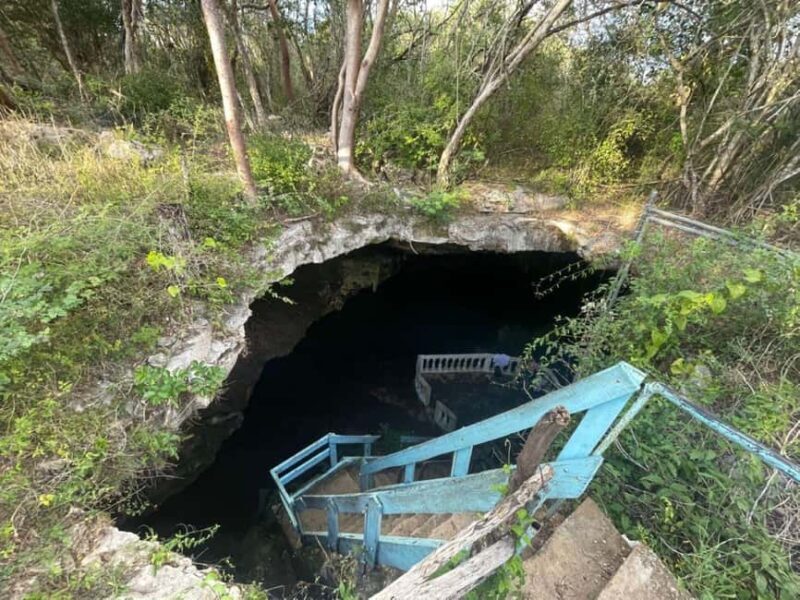 Mérida: 4 Majestic Cenotes Tour with Typical Lunch - Who Will Love This Tour?