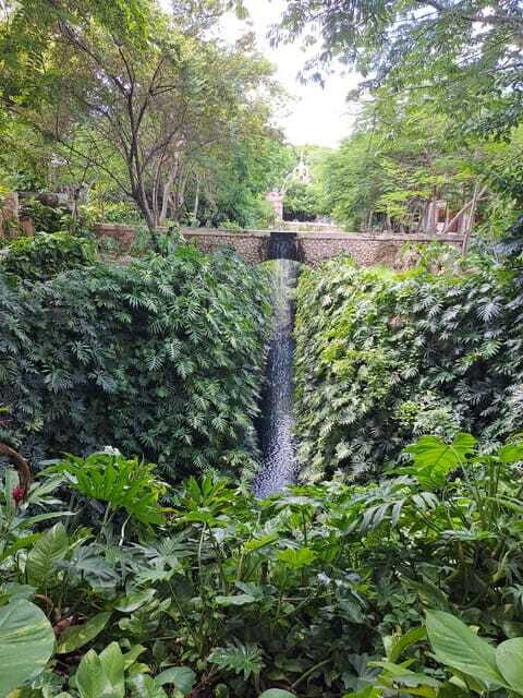 Merida: Cenotes Hacienda Mucuyché And Uxmal - The Logistics of the Tour