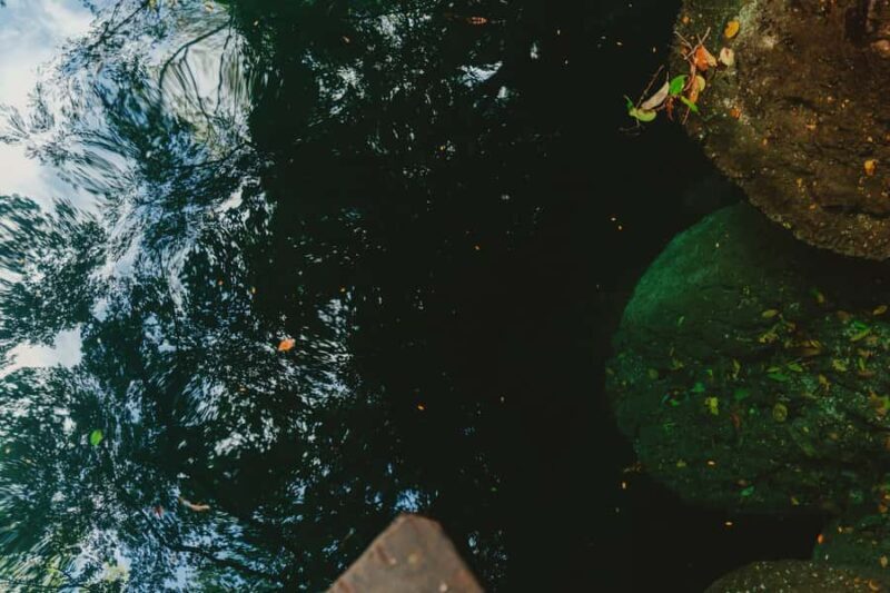 Merida: Explore With The One You Love, Day trip to Cenotes. - Considerations and Downsides