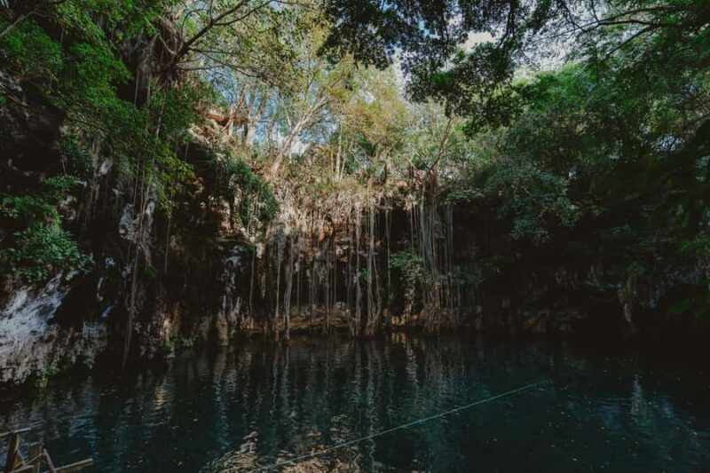 Merida: Explore With The One You Love, Day trip to Cenotes. - Who Is This Tour Best For?