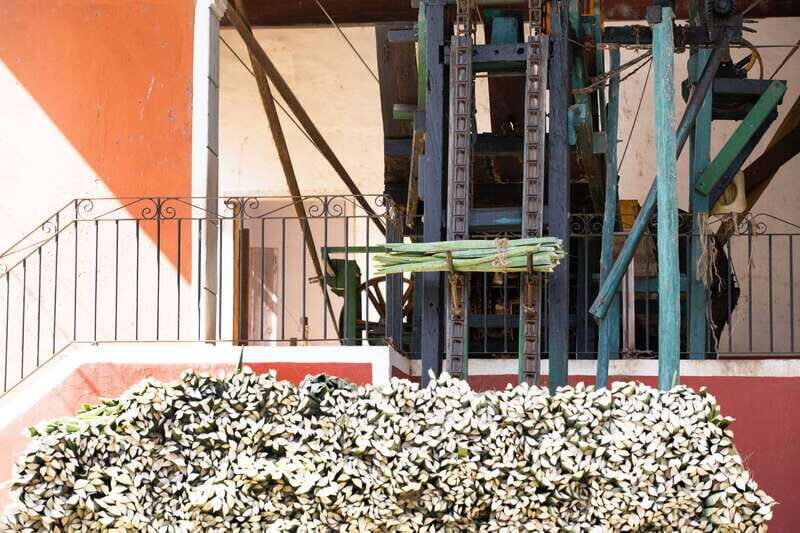 Merida: Hacienda Sotuta de Peon w/ Cenote & Henequen Tour - FAQ