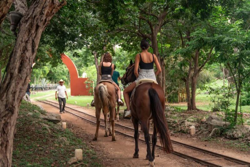 Mérida: Jungle & Cenotes Tour with Horseriding & Lunch - The Experience in Detail