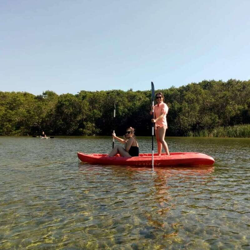 Merida: Kayaking and Bird Sanctuary in Sisal - Key Points