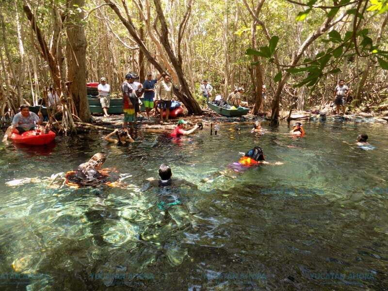 Merida: Kayaking and Bird Sanctuary in Sisal - The Practicalities