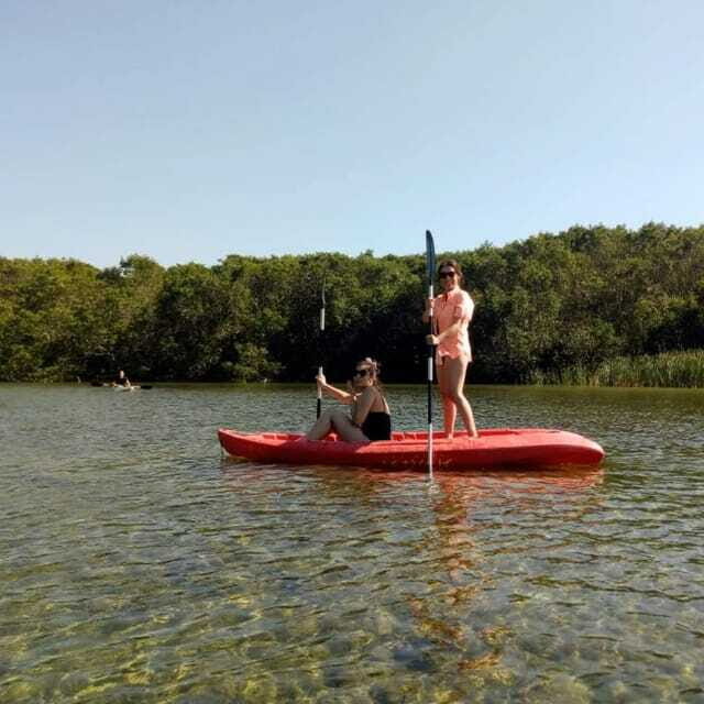 Merida: Kayaking and Bird Sanctuary in Sisal - Who Should Consider This Tour?