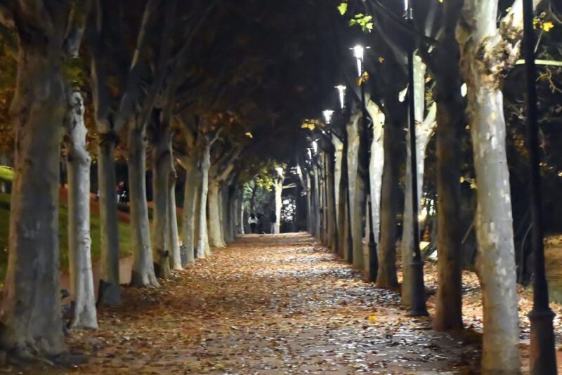 Merida: Legends and Mysteries Night Tour - Who Should Consider This Tour?